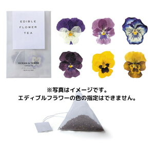 _r[T^GfBut[eB@AS045 OCEANTERRE@I[Ve[/oYj@j@o a LO j v[g Ԃ  킢 蕨 Mtg 