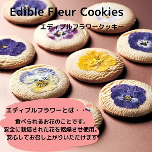 GfBut[NbL[@1@AS139 @OCEANTERRE /j@oYj o mَq َq XC[c Ăَq a LO j v[g Ԃ v`Mtg  ei 킢