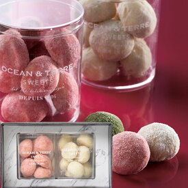 ＼レビュー特典あり／ブールド・ネージュ セットA 〈AS056〉 クッキー 焼き菓子 オーシャンテール スイーツ OCEAN＆TERRE SWEETS スイーツギフト /結婚内祝出産内祝 引き出物 洋菓子 誕生日 記念日 お祝い プレゼント お返し お礼 かわいい 贈り物 おしゃれ 差し入れ 手土産