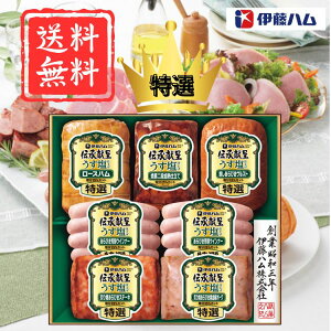 N[|zzyzɓn `悤dグMtgiGMU-55T) Ε j ԂMtg j j oYj Cj Vzj hV̓ wj 