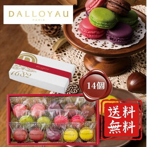 SiP5{BFԌ聙yz_C G߂̃}Jlߍ킹(14) Ε Mtg  Ε 2025 䌩   OXC[c