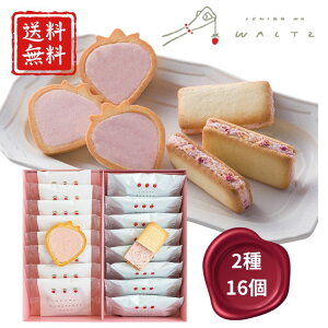 yz 䕂̃c 2̃XC[cMtg MTCY 16 /LTCY 24 waltz ܂  Ăَq j 퉷 }֔  XC[c  aَq mَq MtgZbg  Mtg