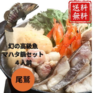 y r[Tzh }n^Zbgi4lOjKMK-223A Ε   ~  Mtg v[g Ε