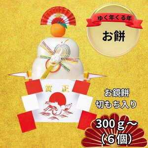 SiP5{BFԌ聙ySiP10{}\zy͂߂Ɂz ؂ 300g500g1000g   Ε G `