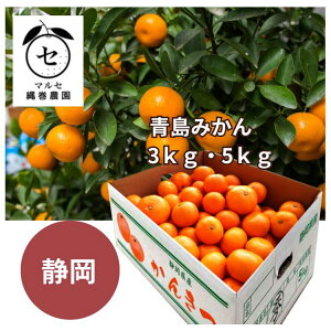 y12{`1{zÉ }Zꊪ_ ݂ 3kg 5kg t[c  É ݂ k Yn a Ε j j  N N