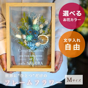 Point10{420`yOKz vU[uht[ qĊӏ e v[g   v[g ԑ JXj  uU[ht[ j Mtg O LO 