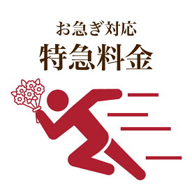 【最短2日でお届け】特急仕上げ 特急配達