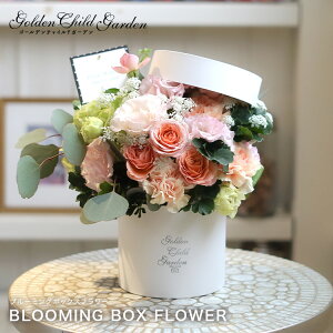 yu[~O{bNXz t[{bNX t[AWg t[Mtg  v[g  Mtg {bNXt[  LO zCgf[ ̓