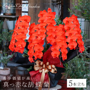 y5{z Ӓ  JXj җj җ  5{ a ACj IV