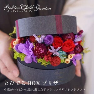 yƂтłBOXvUz vU[uht[ uU[ht[ hCt[ {bNX   IW F IWi Mtg v[g CeA o J[l[V  J