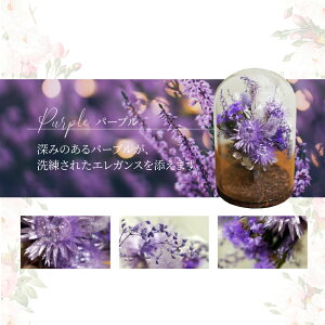 Point10{420`yI[_[ChKXh[z vU[uht[ KXh[ Mtg uU[ht[ j  v[g a җ Ê   FB Ǝ  