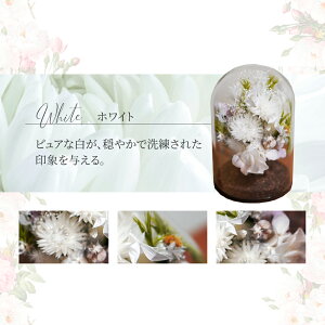 yI[_[ChKXh[z vU[uht[ KXh[ Mtg uU[ht[ j  v[g a җ Ê   FB Ǝ  ސEj  