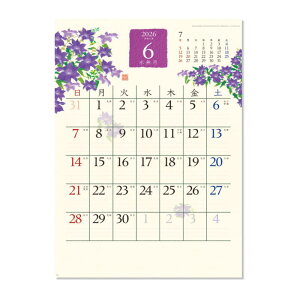 J_[ a̍ʉ Ȕ͂ iW 100×490~