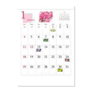 J_[ lG̉Ԃ悤 100×470~