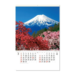 J_[ tB xmR EY 100×1020~