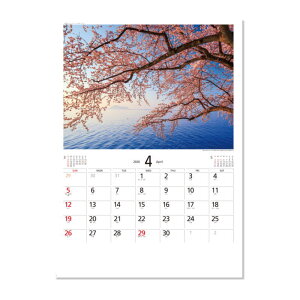 名入れカレンダー 天地自然 森田敏隆写真集 100冊×690円