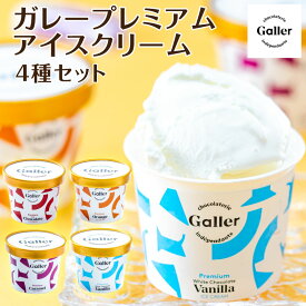 お中元 夏ギフト アイス ガレー アイスクリーム セット 8個 12個 詰め合わせ 夏ギフトアイス お菓子 誕生日プレゼント バニラ チョコ 高級 スイーツ 人気 ブランド 食べ物 冷凍 結婚 出産 父 母 祖父 祖母 孫 友達 男性 女性 50代 60代 70代 80代 内祝い お返し