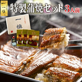 母の日 国産 うなぎ割烹一愼 かば焼き 3人前 ギフト セット プレゼント 誕生日 グルメ うなぎ 鰻 愛知 出産 結婚 人気 高級 かば焼き 内祝い お返し 古希 喜寿 傘寿 米寿 男性 女性 孫 父 母 祖父 祖母 40代 50代 60代 70代 食べ物 早割 おじいちゃん おばあちゃん 2024