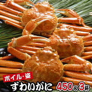 Ε  2025 YCKj {C p 2 3 YCI 킢 킢Ip Ⓚ I݂ JjX ɓ Ε Mtg N Nn  av[g Hו j oY  