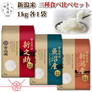  3kg O Hה Zbg e 1kg j Mtg VV 2024N ߘa6NY Hו av[g Ԃ V  Y RVqJ l炵 gy j oY    