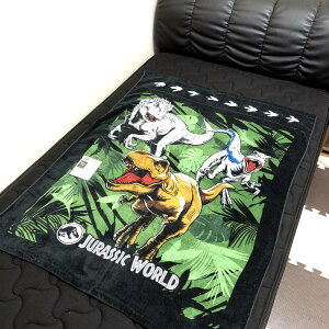 q 唻oX^I ^IPbg WVbN[h ChWO _Ci\[ uPbg WVbNp[N 115cm x 85cm qp rbOTCY 唻 ^I  lC 