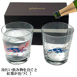 ₽̂𒍂ƍgtFt ⊴ bNOX xmR ݂ yAZbg2Zbg gt xŕω OX ~W IUbN OX v[g 蕨 { ECXL[ u