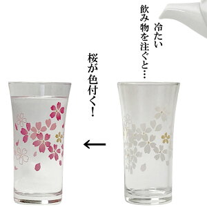 ₽̂𒍂ƍFt ⊴ VJ OX ̉ԉxŕω  VbgOX rA^u[ pOX  v[g 蕨 svc }WbN {  Mt