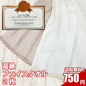楽天市場 ナポレオンパイの通販