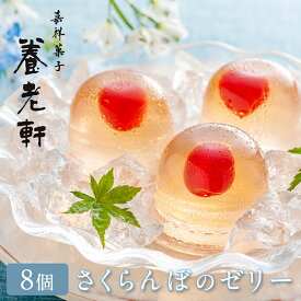 お中元 御中元 内祝い ゼリー ギフト 京都 養老軒 山形県産さくらんぼのゼリー 8個入 お返し 4000円 お菓子 スイーツ 夏ギフト 暑中見舞い 送料無料 出産 出産内祝い 結婚内祝い 誕生日 人気 高級 かわいい おしゃれ 詰め合わせ YB 敬老の日 プレゼント お盆
