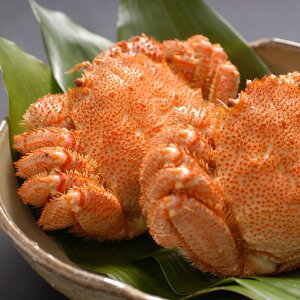 Jj  Jj  ъI 2t 350gupx2 i KM15001001oYj Ԃ j  䒆 Ε Ε @