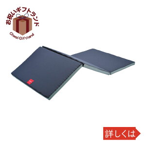 ローズラジカル シングル 敷布団 通販 価格比較 価格 Com ローズラジカル シングル 敷布団 通販 価格比較 価格 Com