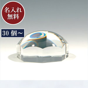 [U[/UV}[LO[ ꖳ ] y[p[EGCg Tb [y @\t y󒍐Yi 30ȏ [F40-50z LOi  ޒc ސE Ј\ NLOi ʖ