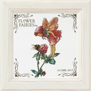 ~jGz t[ tFA[Y ~jA[gt[ ubhN[o[v Ǌ|A㗼p FF-00554NLOi v[g ސELO ƋLO ꑊk