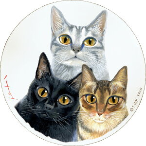 Ǌ|CeA 䒉 ؐEhA[g u3FgIiMTCYjv Ǌ|p IT-01012NLOi v[g ސELO ƋLO ꑊk