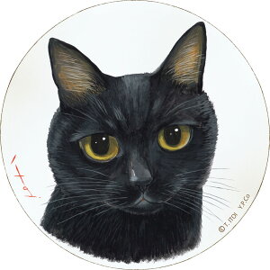 Ǌ|CeA 䒉 ؐEhA[g u}giLTCYjv Ǌ|p IT-01520NLOi v[g ސELO ƋLO ꑊk