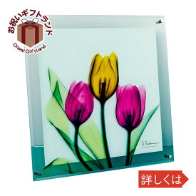 楽天市場 絵画 チューリップ アートパネル アートボード 壁紙 装飾フィルム インテリア 寝具 収納の通販