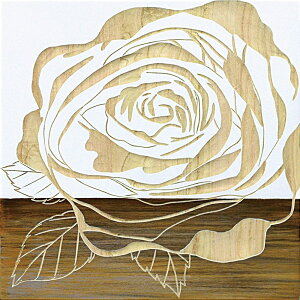 nhubV Ebh XJv`[ A[g u[Y2iWH+NPjv Ǌ|p SA-08559G  v[g 킢 j a