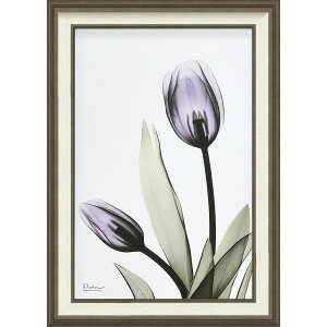 �G��z X RAY �L�����o�X�A�[�g �u�`���[���b�v�iM�T�C�Y�j�v �Ǌ|�p XR-12001���N�L�O�i �v���[���g �ސE�L�O ���ƋL�O �����ꑊ�k