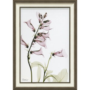 �G��z X RAY �L�����o�X�A�[�g �u�T���r�A�iM�T�C�Y�j�v �Ǌ|�p XR-12004���N�L�O�i �v���[���g �ސE�L�O ���ƋL�O �����ꑊ�k