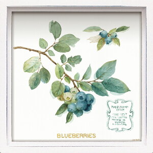 ~jGz nX ~jA[gt[ T I[fBbg u}C O[nEX t[c2v Ǌ|A㗼p LA-01204NLOi v[g ސELO ƋLO ꑊk