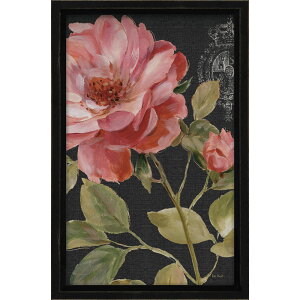 ~jGz nX ~jA[gt[ T I[fBbg un[jAX [Yv Ǌ|A㗼p LA-01715NLOi v[g ސELO ƋLO ꑊk