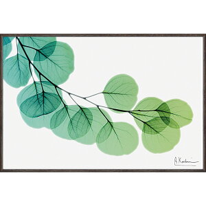 �G��z X RAY �L�����o�X�A�[�g �u���[�J���iS�T�C�Y�j�v �Ǌ|�p XR-03813���N�L�O�i �v���[���g �ސE�L�O ���ƋL�O �����ꑊ�k