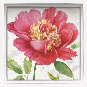 ~jGz nX ~jA[gt[ T I[fBbg usN K[f1v Ǌ|A㗼p LA-01244NLOi v[g ސELO ƋLO ꑊk