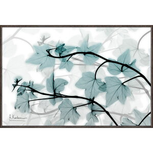 アイビー おしゃれ ホビーの人気商品 通販 価格比較 価格 Com