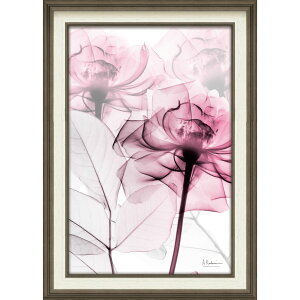 �G��z X RAY �L�����o�X�A�[�g �u�s���N���[�Y�iM�T�C�Y�j�v �Ǌ|�p XR-12012���N�L�O�i �v���[���g �ސE�L�O ���ƋL�O �����ꑊ�k