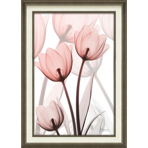 �G��z X RAY �L�����o�X�A�[�g �u���X�^�[ �`���[���b�v�iM�T�C�Y�j�v �Ǌ|�p XR-12013���N�L�O�i �v���[���g �ސE�L�O ���ƋL�O �����ꑊ�k