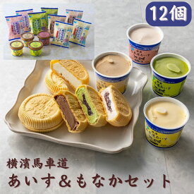 産直ギフト アイスクリーム・シャーベット 横浜馬車道 アイスクリーム & もなかセット 12個