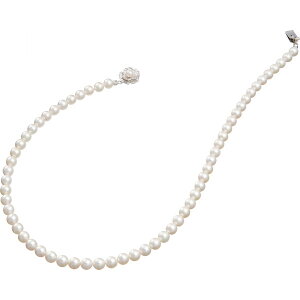 p[Ep[EREx {^lbNX NS65 MtgΉs (j