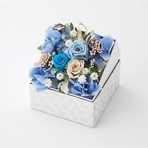 �I���S�[���t���{�b�N�X�t�����[�A�����W�����g�i�V���f�����j 2022DO-003SH ��������