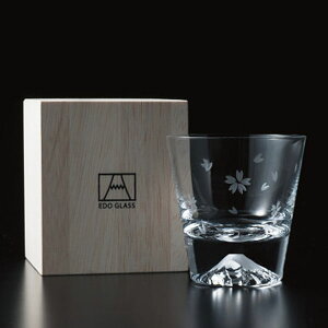 cq ]ˏɎq xmR bNOX ؎qiؔj TG16-015-RS 